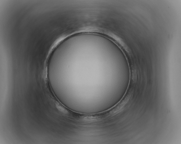 X0000112031366200908171442