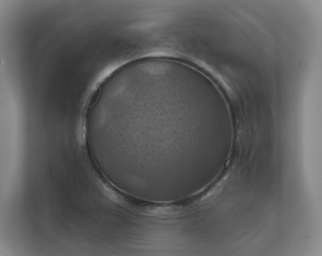 X0000112031367200908171442