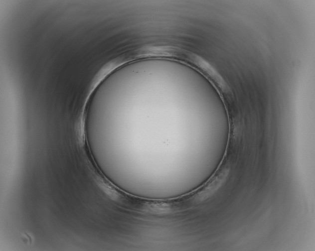 X0000112031370200908171442