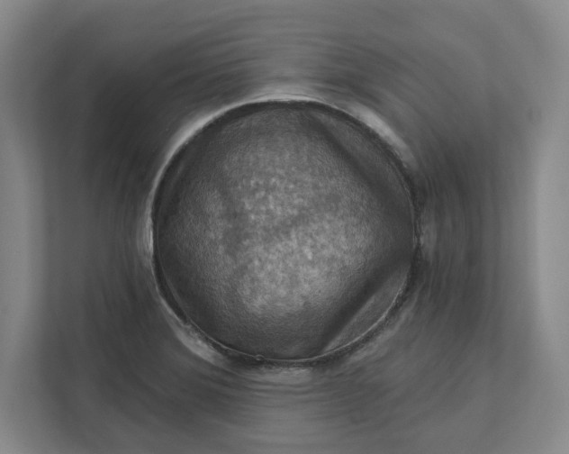 X0000112031372200908171442