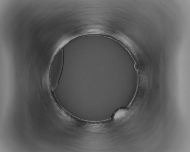 X0000112031373200908171442