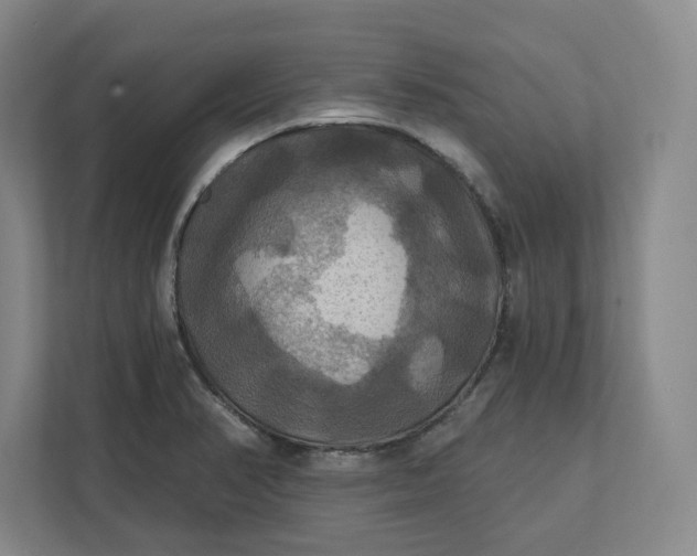 X0000112031374200908171442