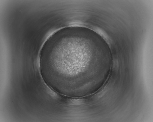 X0000112031376200908171442