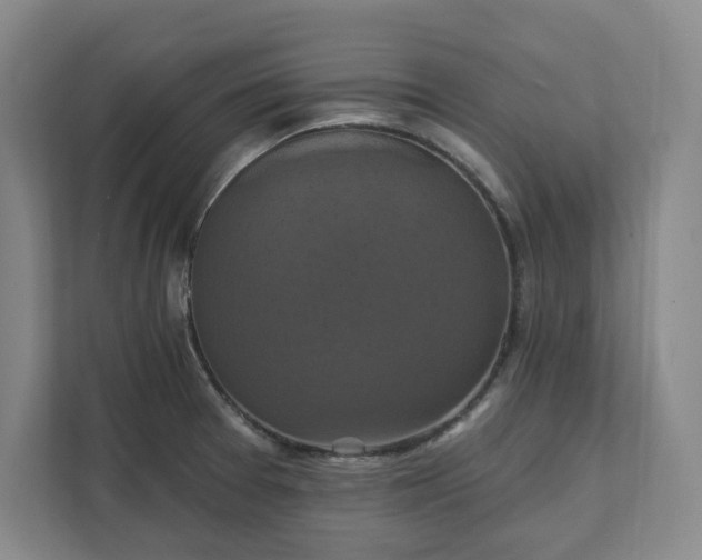 X0000112031377200908171442
