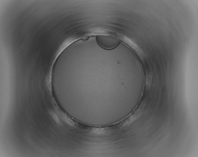 X0000112031378200908171442