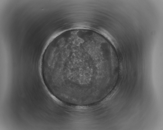 X0000112031379200908171442