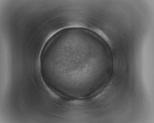 X0000112031380200908171442