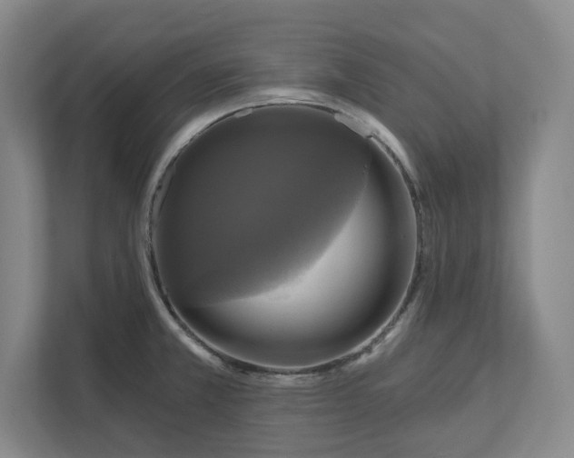 X0000112031381200908171442