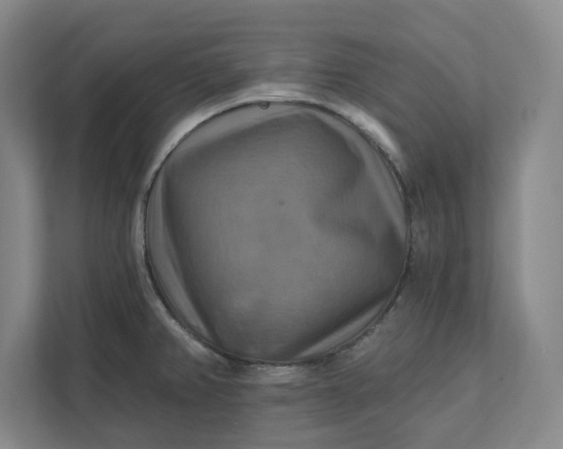 X0000112031382200908171442