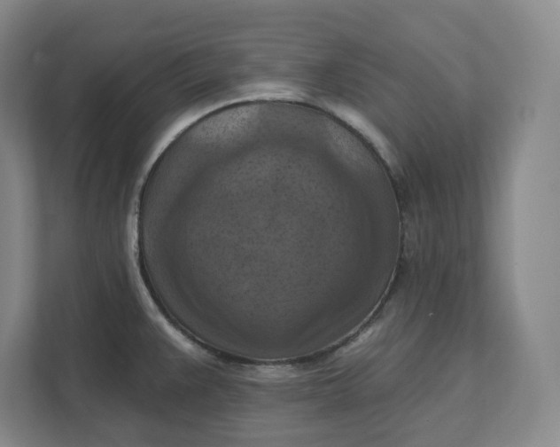 X0000112031383200908171442