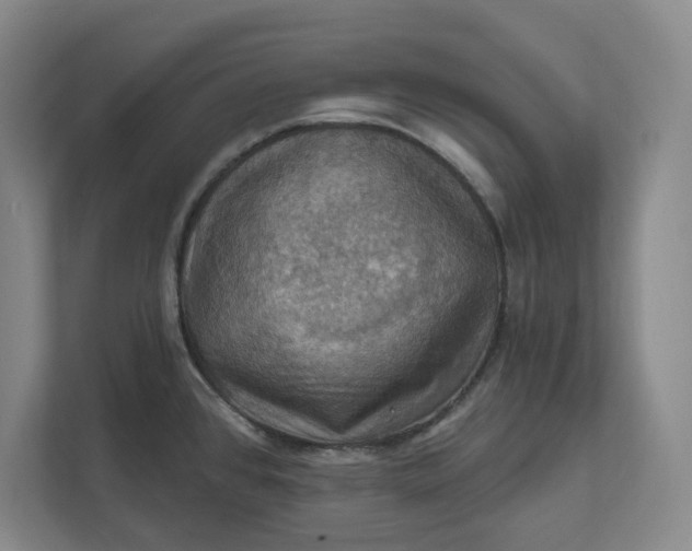 X0000112031384200908171442