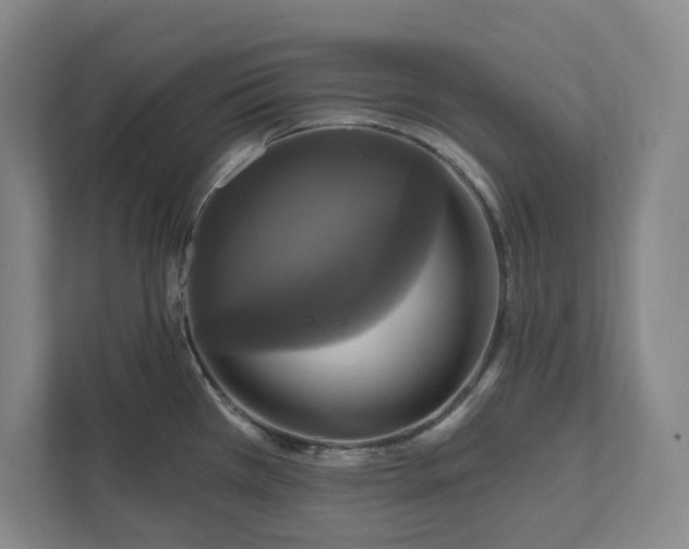 X0000112031385200908171442