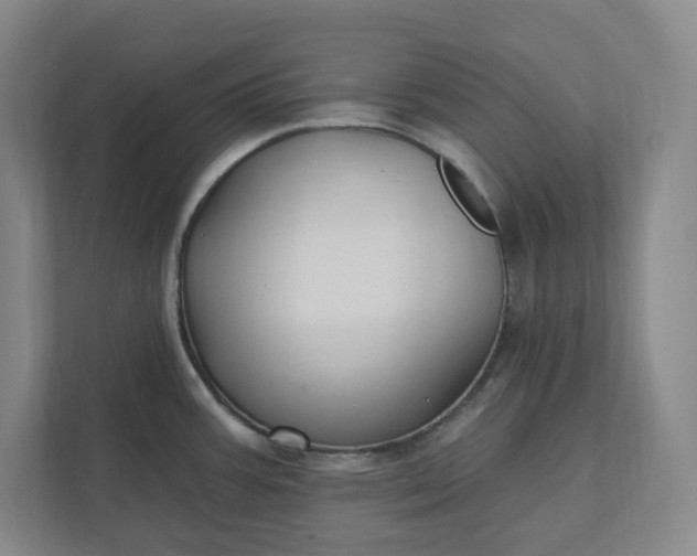 X0000112031387200908171442