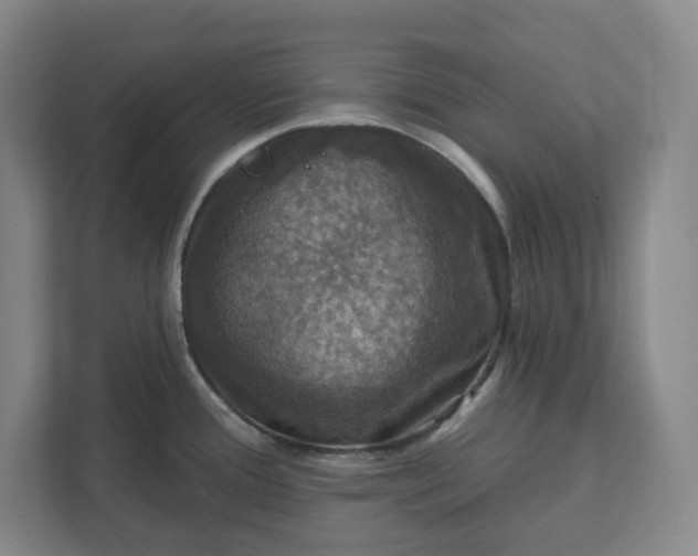 X0000112031388200908171442