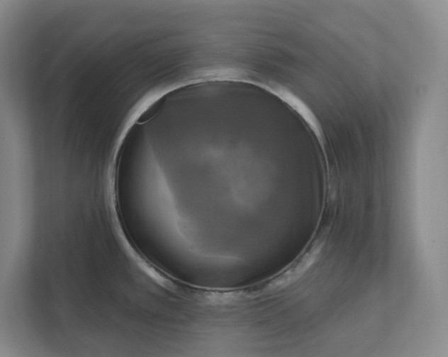 X0000112031389200908171442