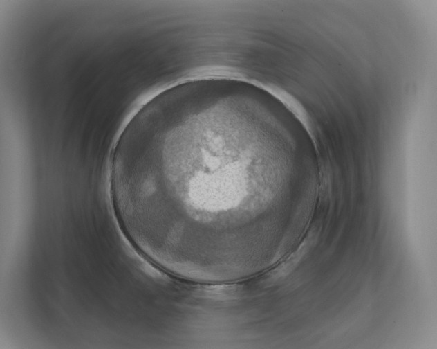 X0000112031390200908171442
