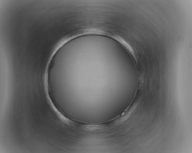 X0000112031391200908171442