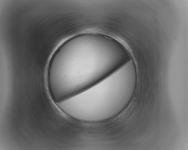 X0000112031392200908171442