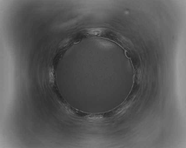 X0000112031394200908171441