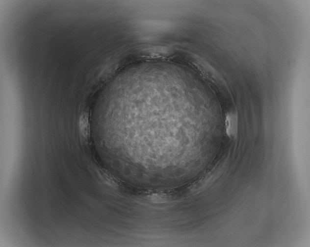 X0000112031395200908171441