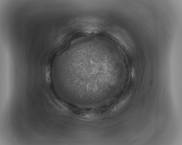 X0000112031396200908171441