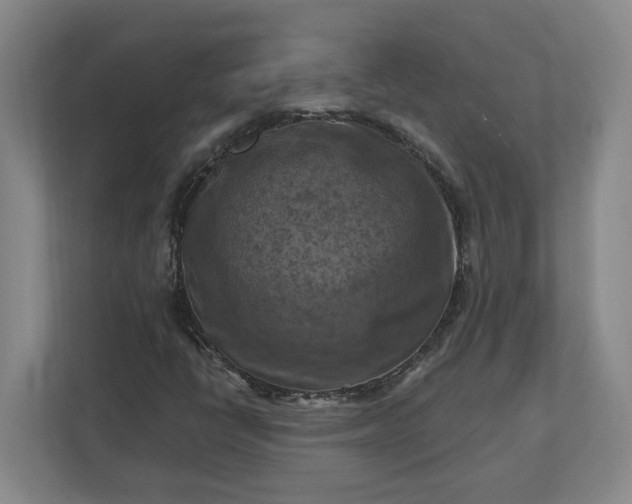 X0000112031398200908171441