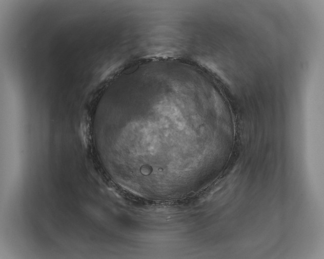X0000112031399200908171441