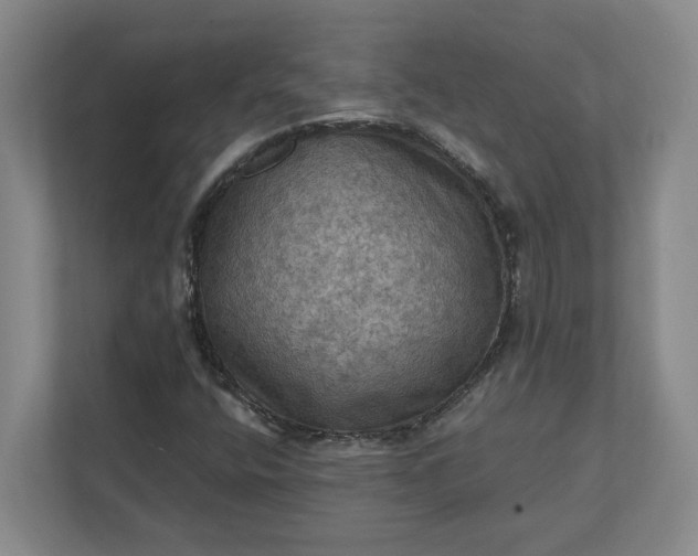 X0000112031400200908171441