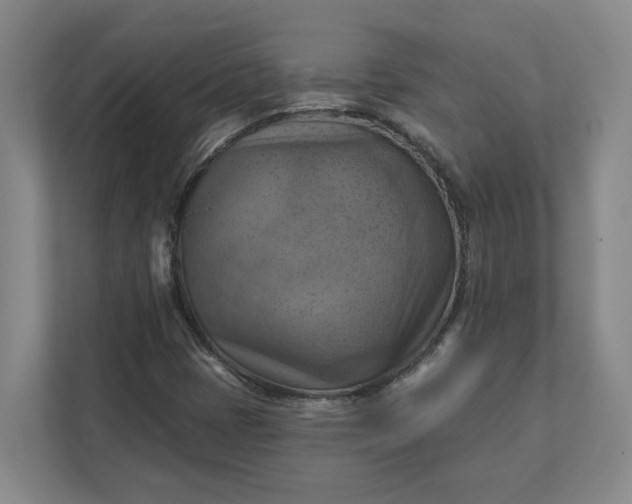 X0000112031401200908171441