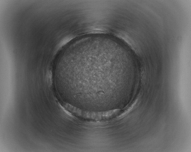 X0000112031402200908171441