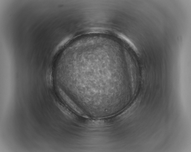 X0000112031403200908171441