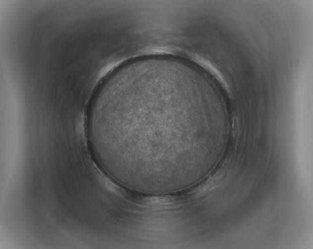X0000112031404200908171441