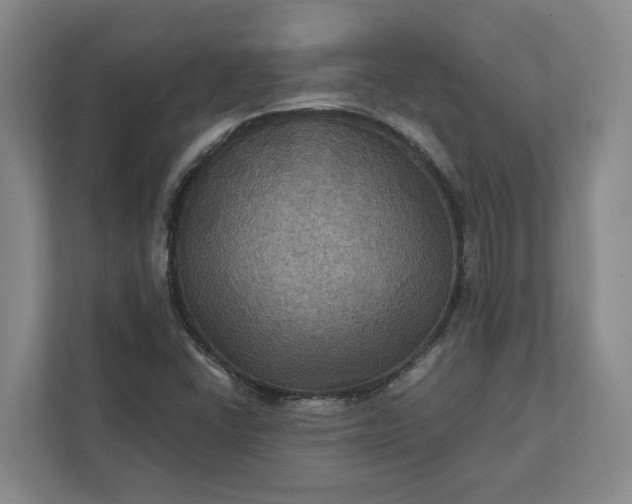 X0000112031406200908171441