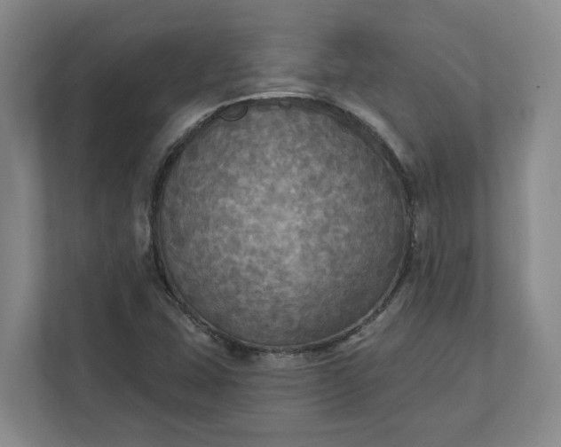 X0000112031407200908171441