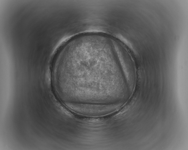 X0000112031408200908171441