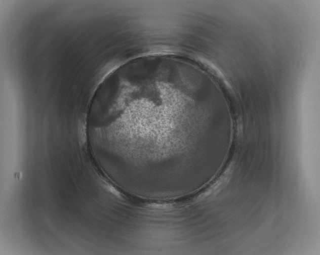 X0000112031409200908171441