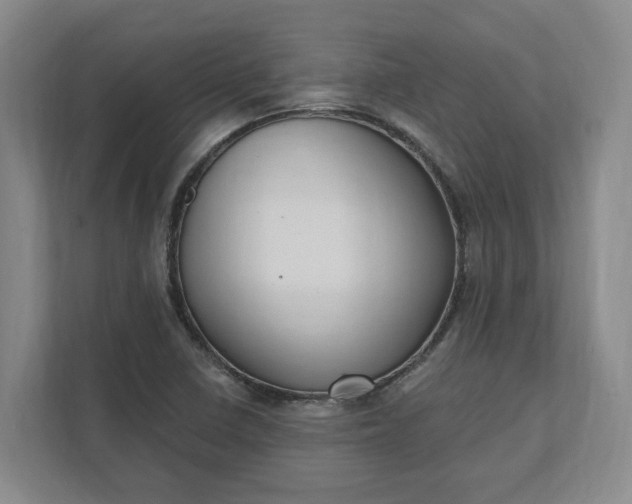 X0000112031410200908171441