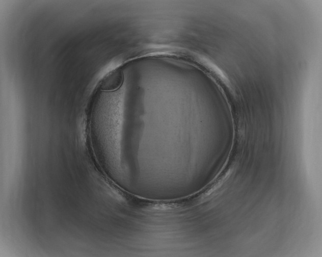 X0000112031411200908171441