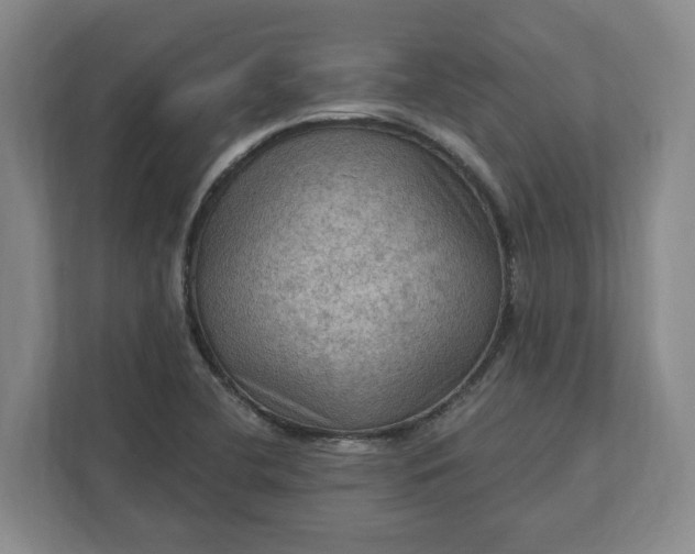 X0000112031412200908171441