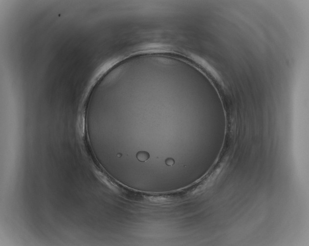 X0000112031413200908171441