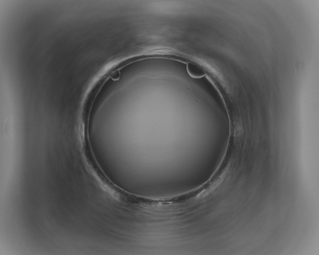 X0000112031414200908171441
