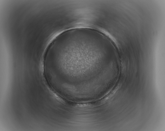 X0000112031415200908171441