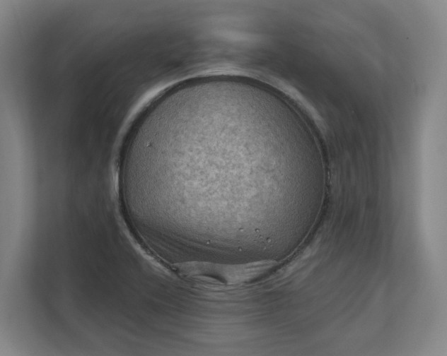 X0000112031416200908171441