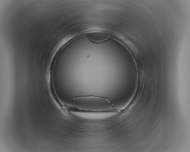 X0000112031418200908171441