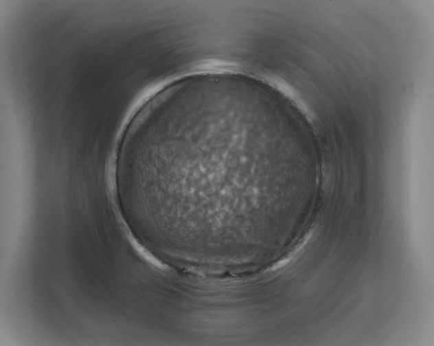 X0000112031421200908171441