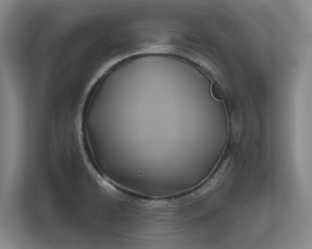 X0000112031422200908171441