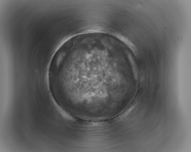X0000112031423200908171442