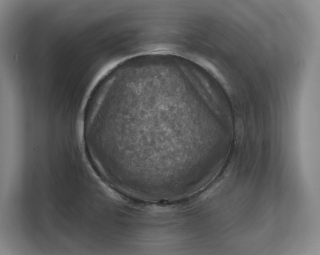X0000112031424200908171442