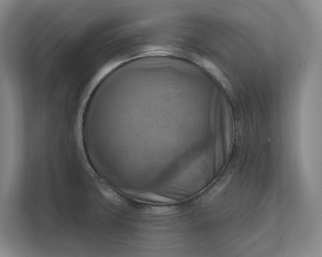 X0000112031427200908171442