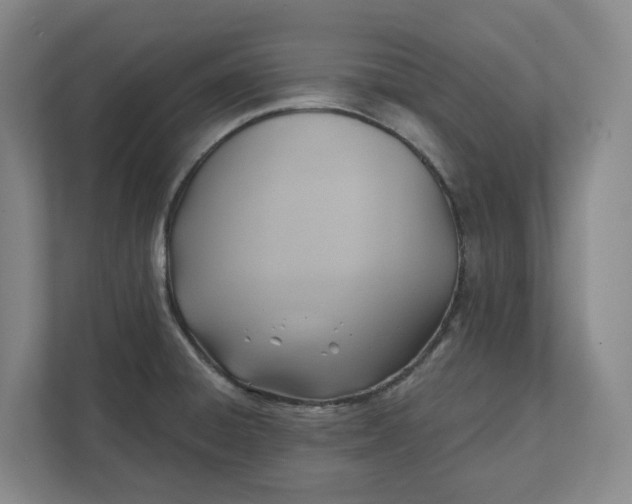 X0000112031428200908171442